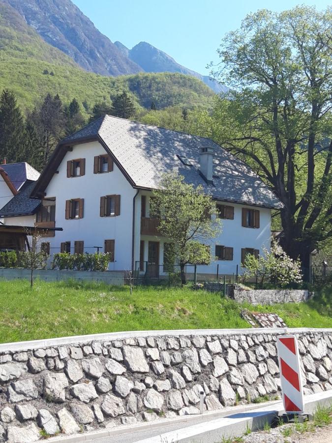 Apartman Mmmm *